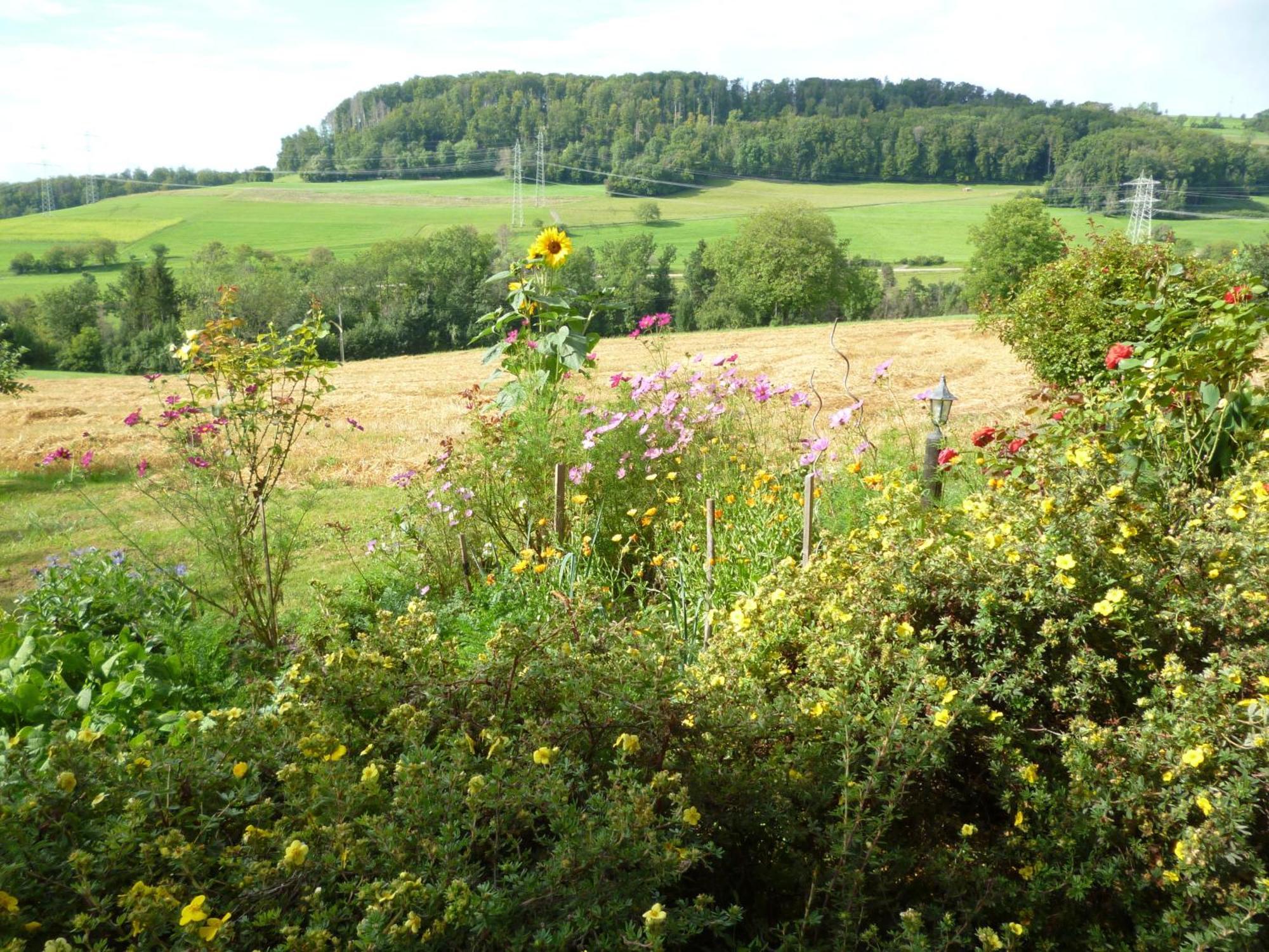 Blumenwiese Weilheim Экстерьер фото
