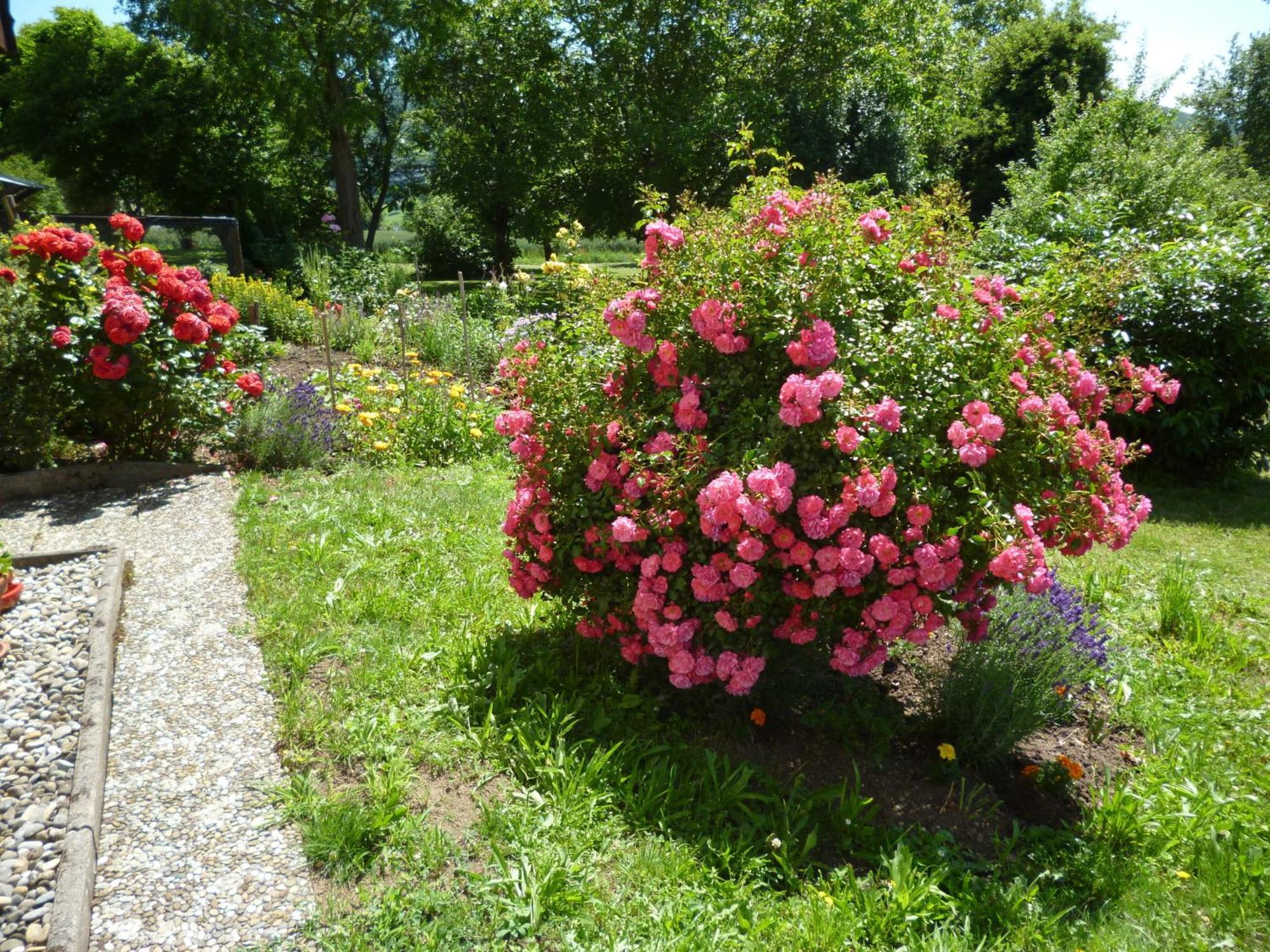 Blumenwiese Weilheim Экстерьер фото