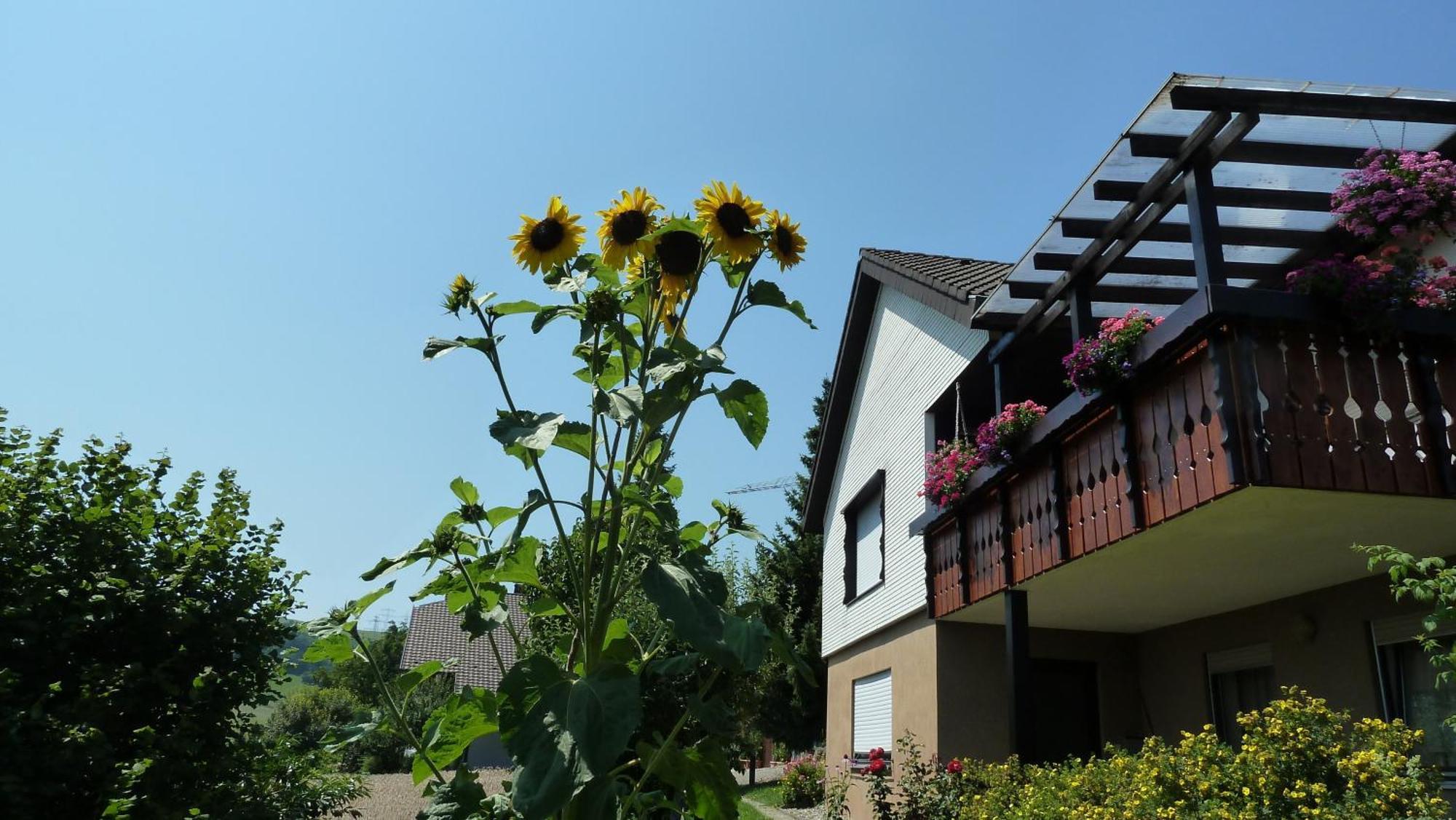 Blumenwiese Weilheim Экстерьер фото